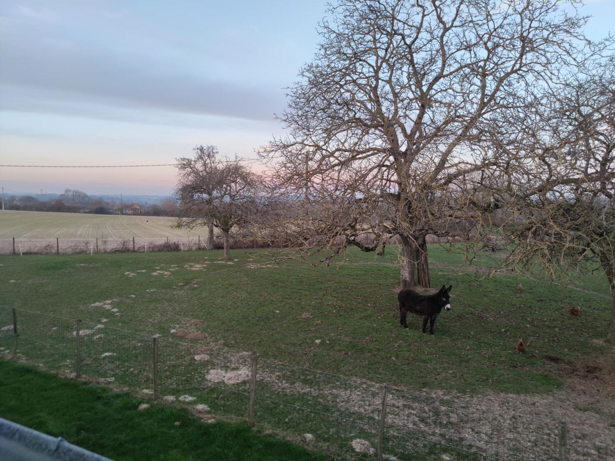Chambre D Hote Beaumont Pied De Boeuf Dış mekan fotoğraf